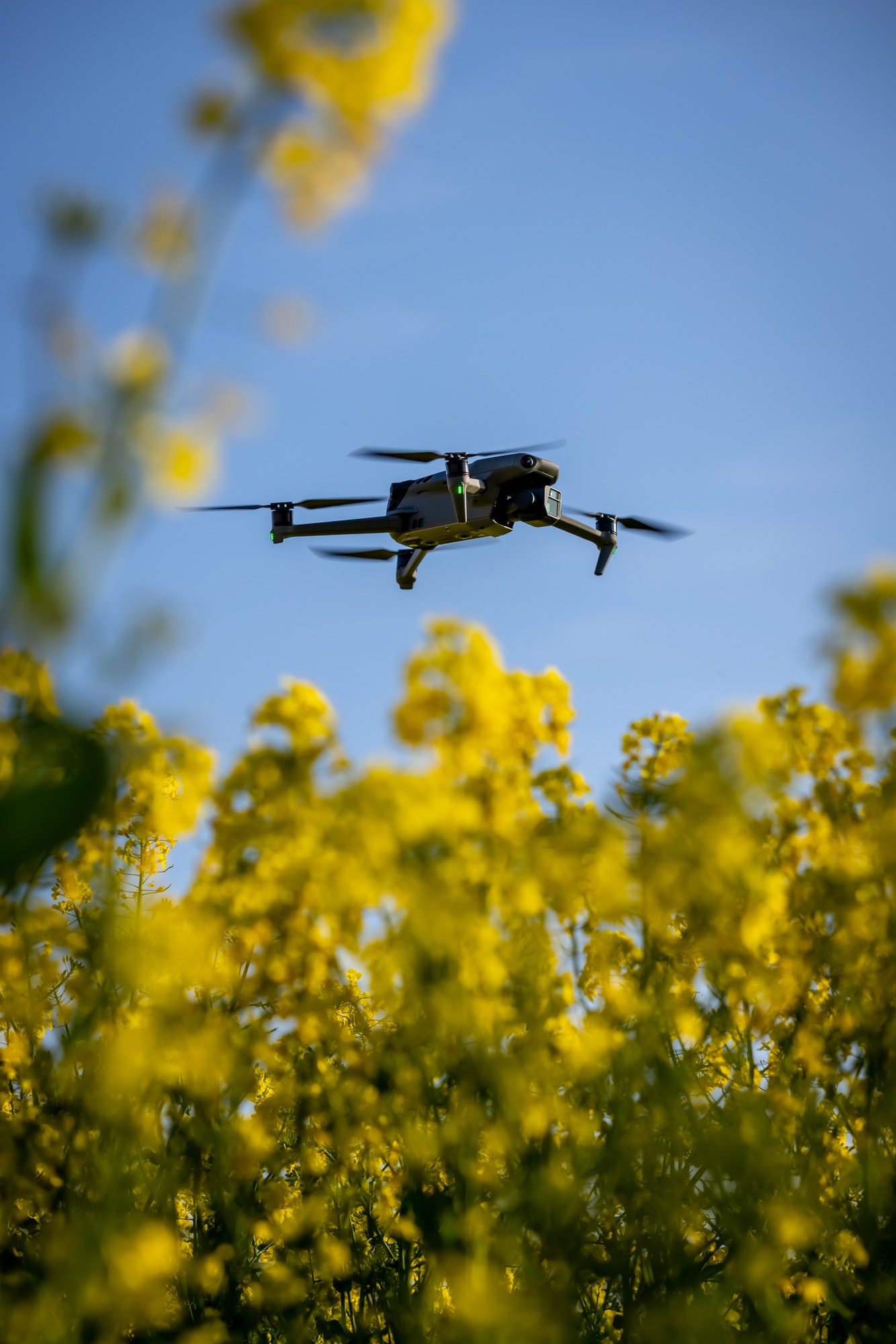 Agriculture Drone Flying